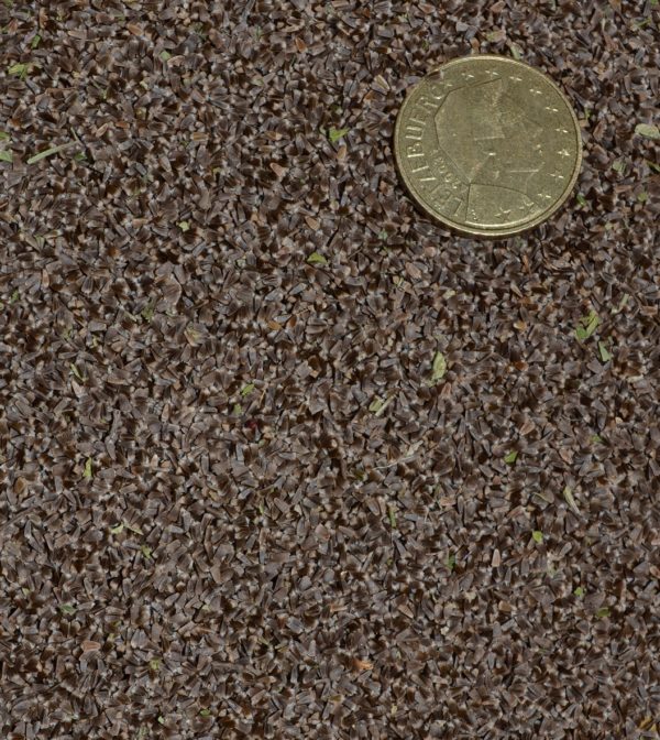 Agripaume cardiaque – Image 2