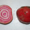 Betterave Chioggia
