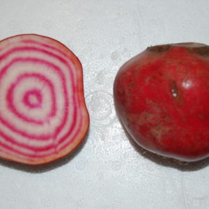 Betterave Chioggia