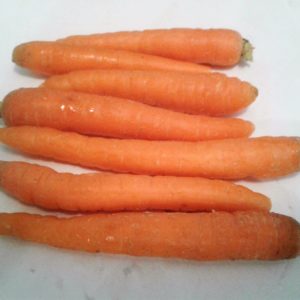 Carotte nantaise améliorée