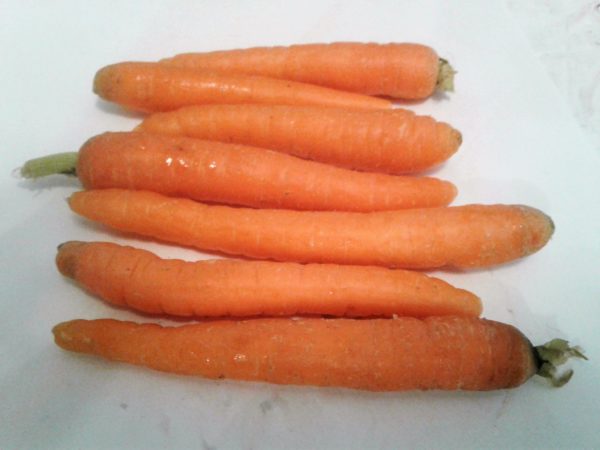 Carotte nantaise améliorée