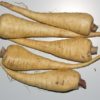 panais Turga