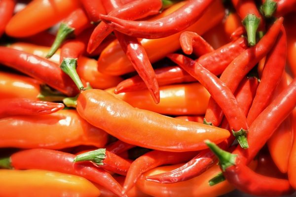 Piment oiseau