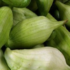 cyclanthère