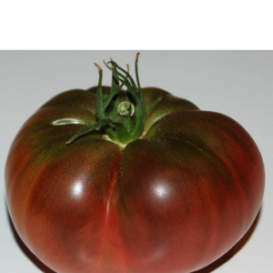 Tomate Blue Fruit Marianna’s