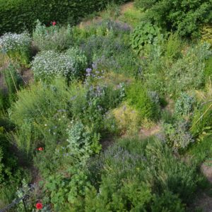 Démarrer un potager en permaculture au printemps à Jodoigne