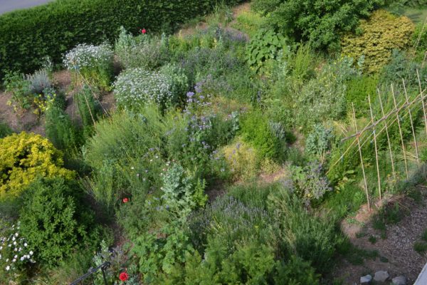 Démarrer un potager en permaculture au printemps à Lustin