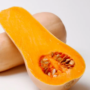 Courge longue de Nice