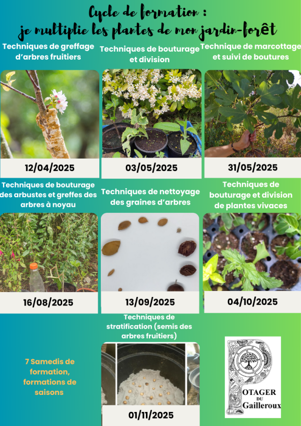 Cycle de formation complet : multiplier les espèces comestibles d’un jardin-forêt – Image 2