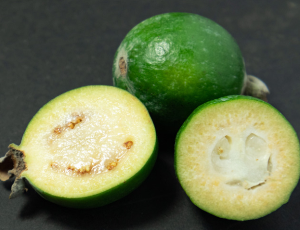Feijoa – Image 2