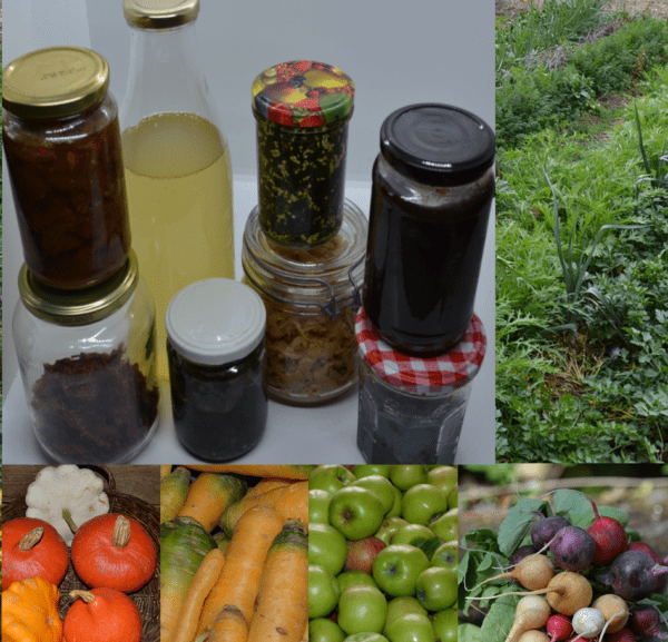 Duo ou trio de formations au Potager du Gailleroux : Autonomie l'hiver