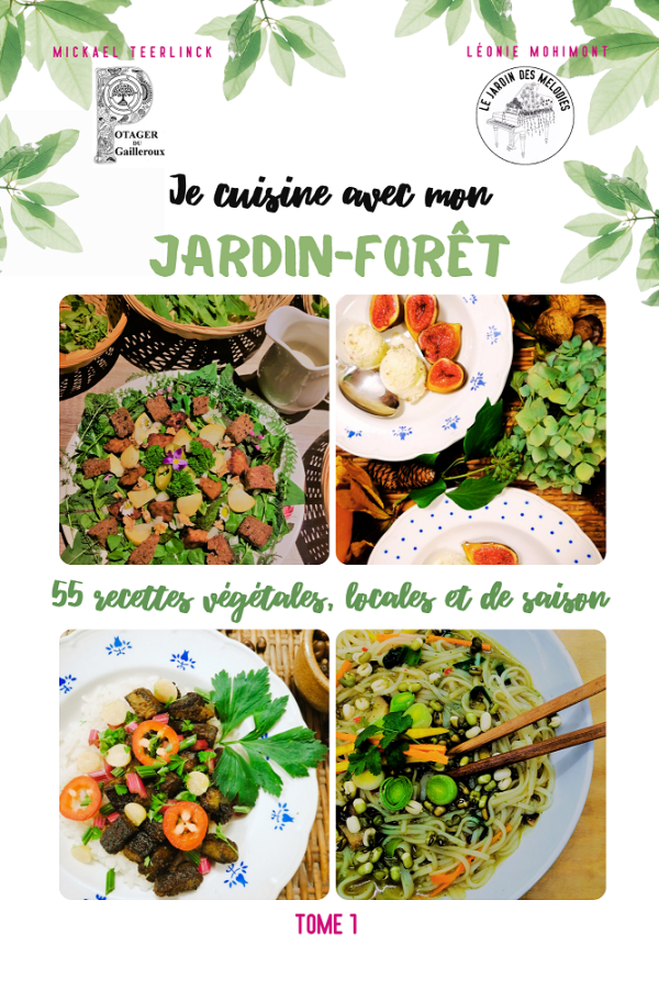 Je cuisine avec mon jardin-forêt