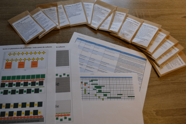 Pack de graines pour débutants