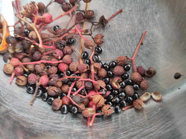 Poivre du Sichuan – Image 2