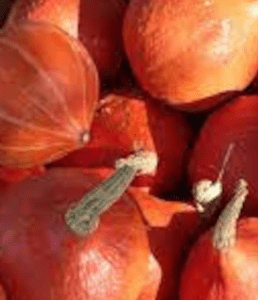 Potimarron Red Curry