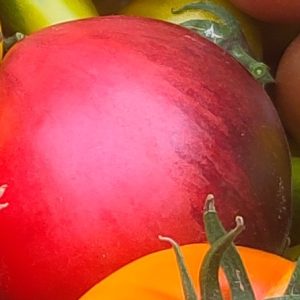 Tomate Coeur de Boeuf noire