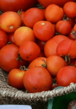 Tomate