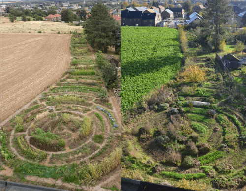 Grand-mandala-du-Potager-du-Gailleroux