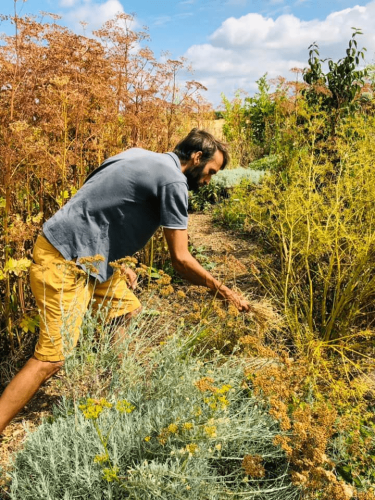 Moi-au-Potager-du-Gailleroux