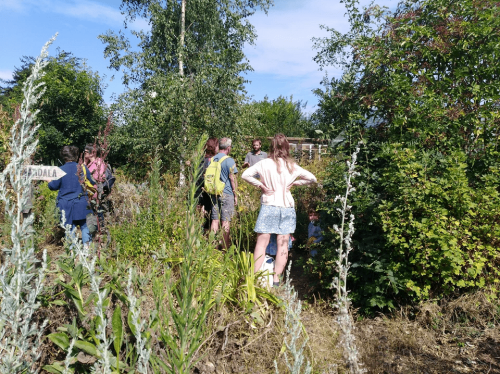 Visite commentée du Potager du Gailleroux